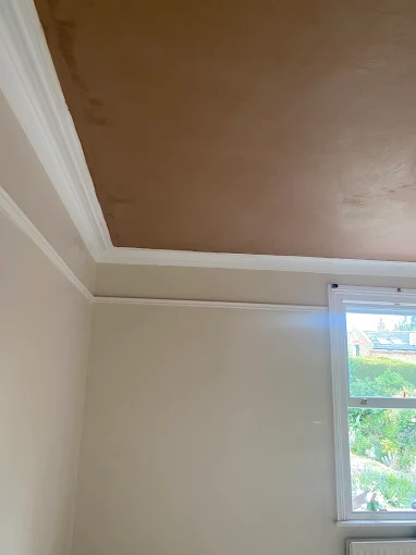 Skimmed ceiling with cornice finished