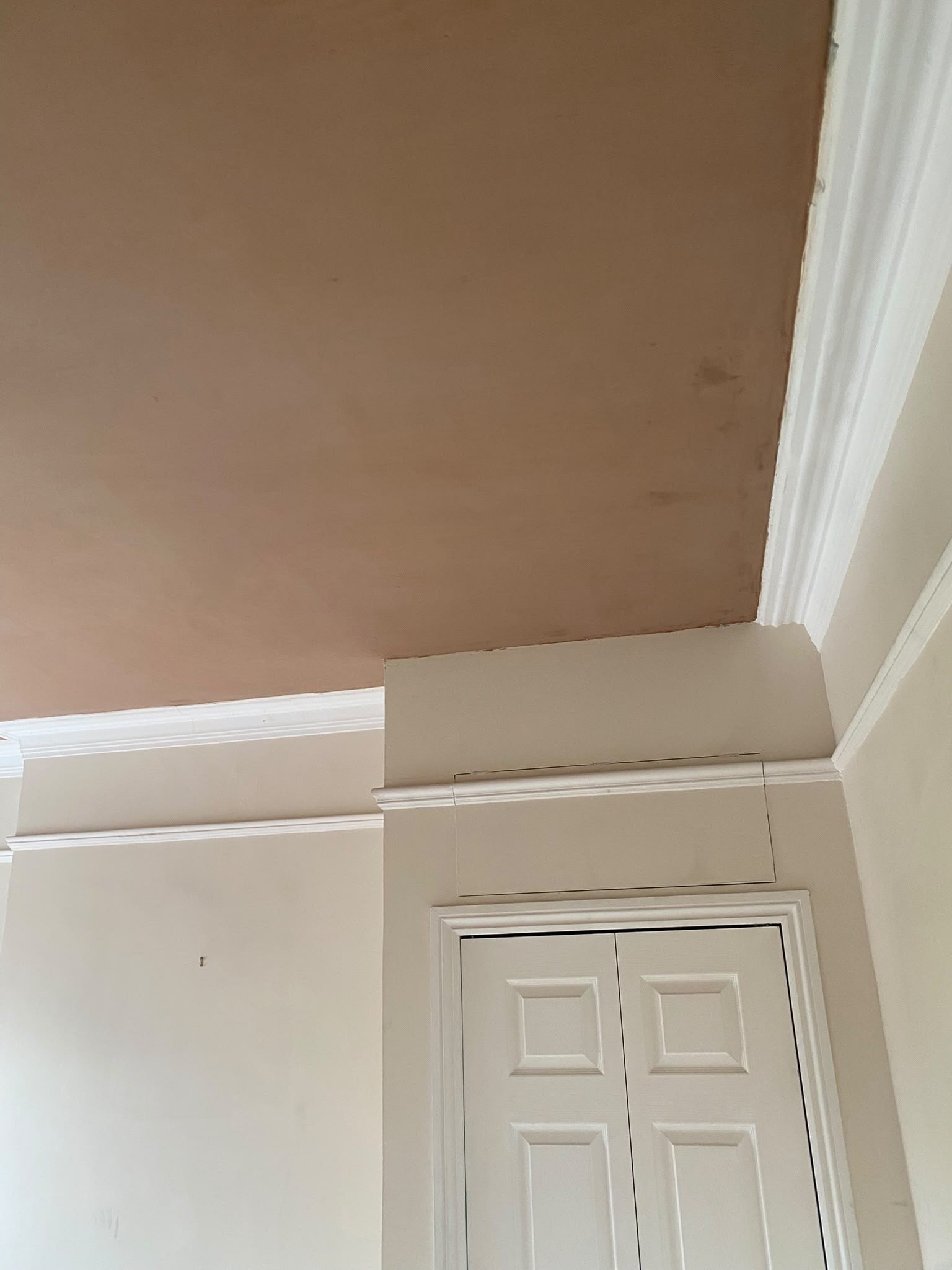 Ceiling skimmed to the cornice, after